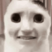 Ninegmr003
